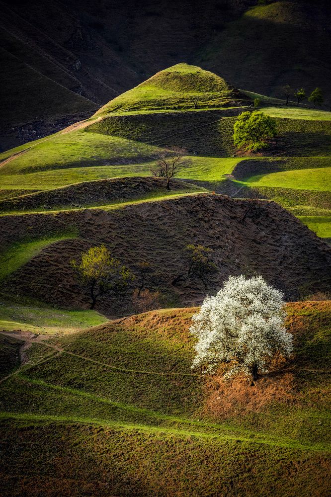 Photograph by Алексей Вымятнин