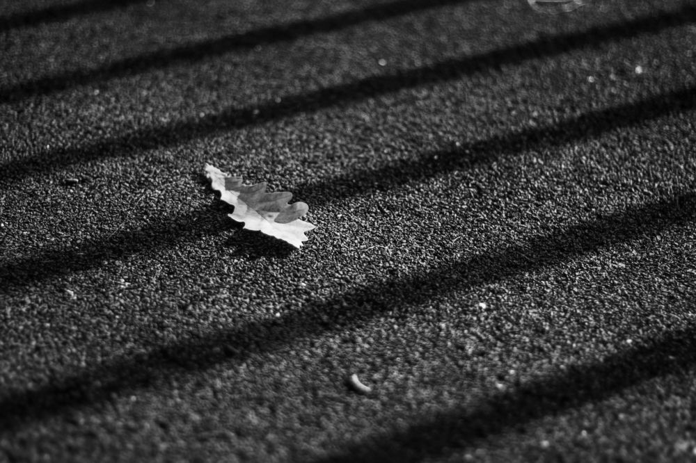 Photograph by Петрова Екатерина