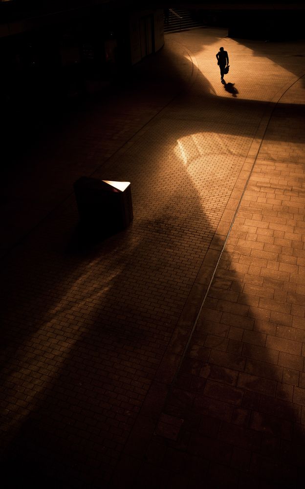 Photograph by Selaru Ovidiu