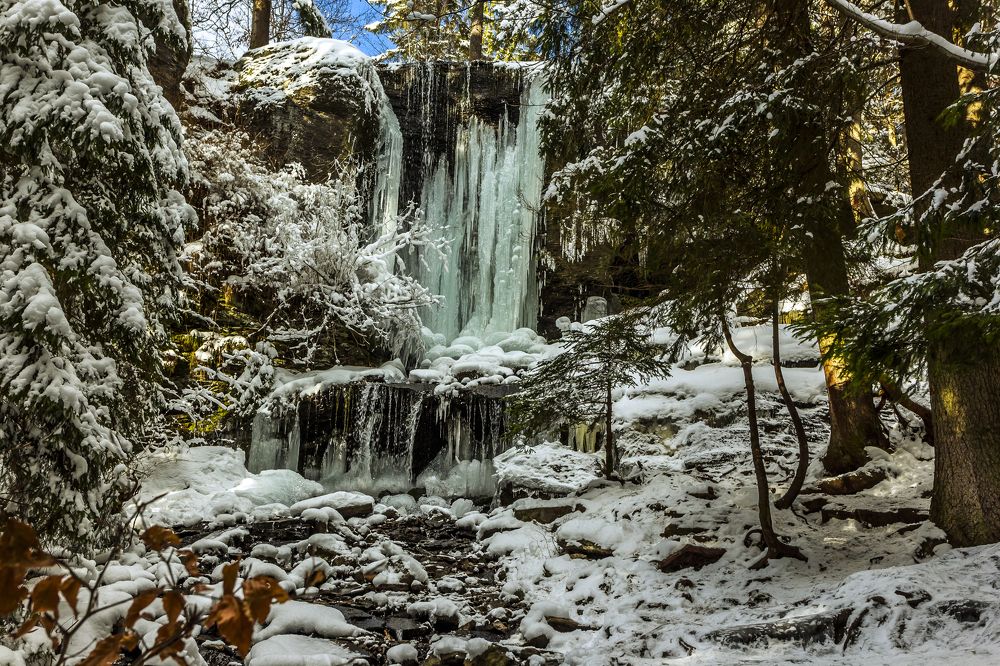 Фотография автора COMSA BOGDAN