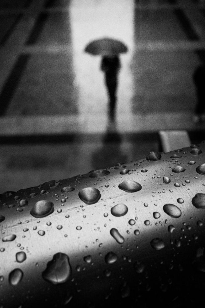 Photograph by Selaru Ovidiu