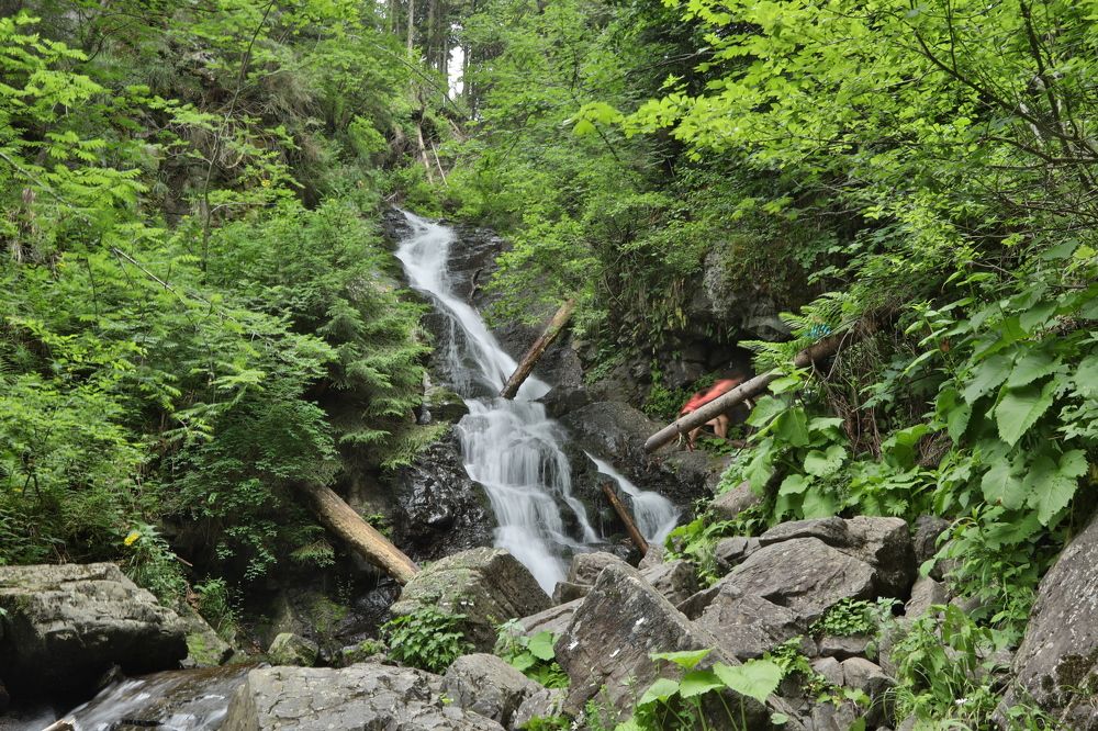 Фотография автора COMSA BOGDAN