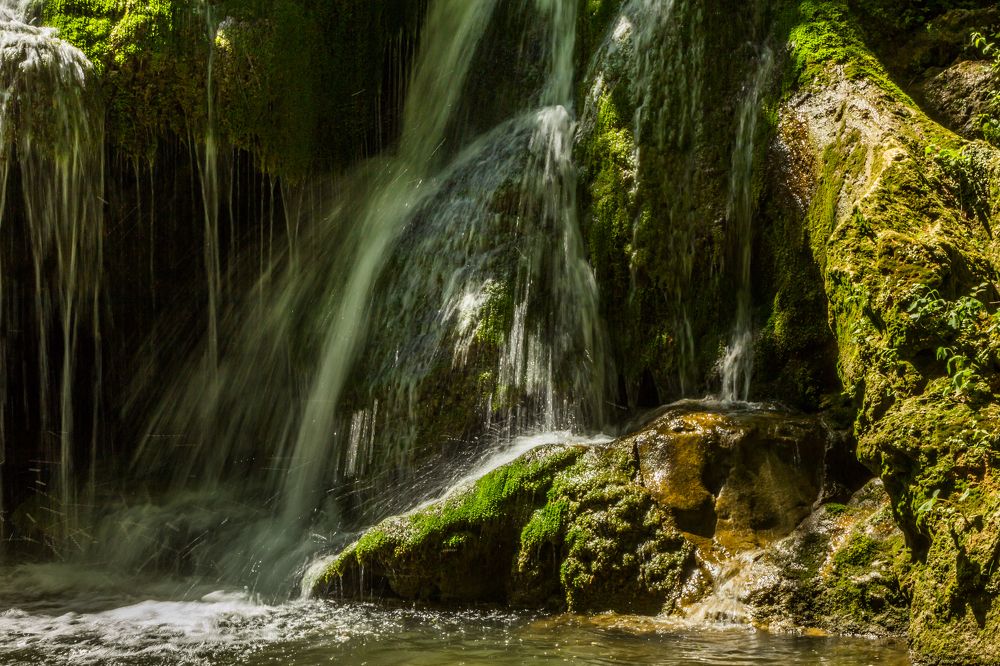 Фотография автора COMSA BOGDAN