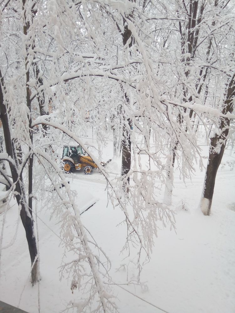 Фотография автора Николай Замковой