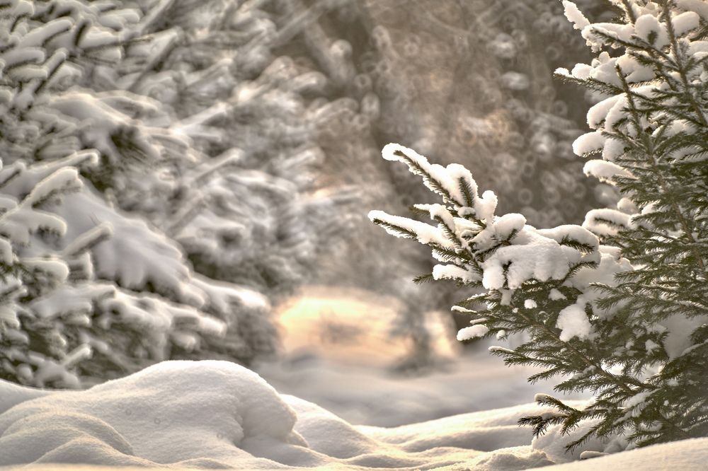 Photograph by Yuliya Khramova