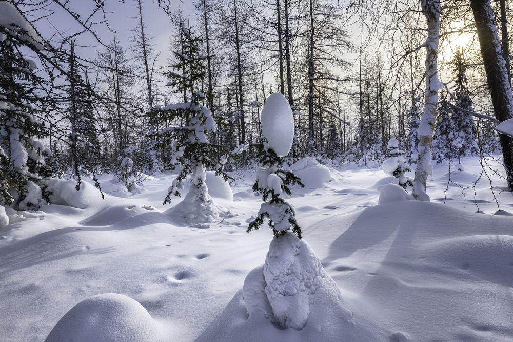 Photograph by Ирина Ульянова