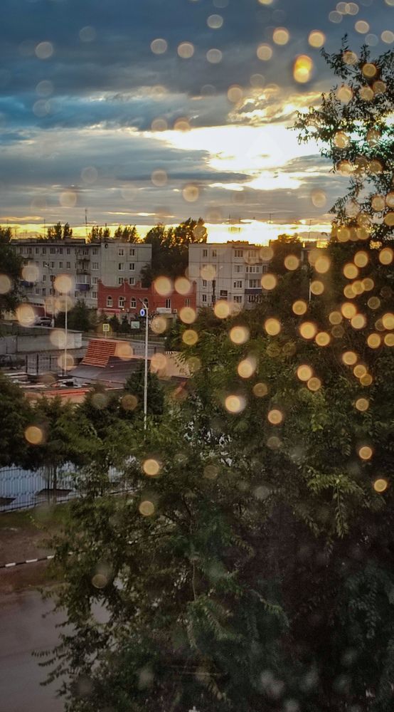 После дождя