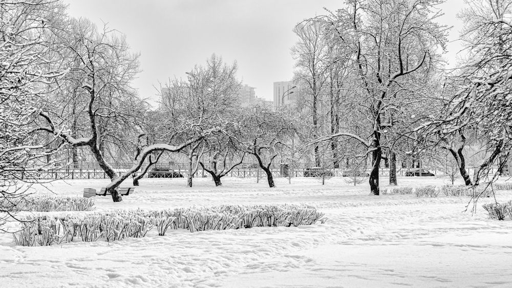 Photograph by Aleksandr Belov