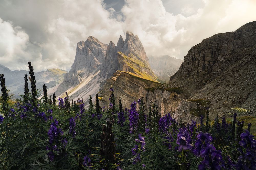 Photograph by Andrea Burla