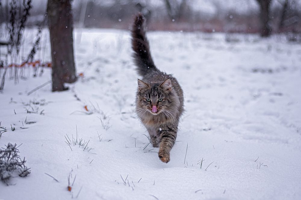 Photograph by Анна Пикаленко