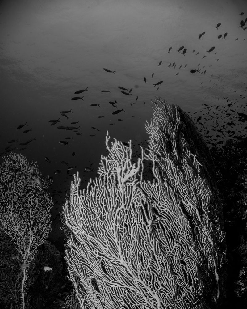 Фотография автора Евгения Кирпиченкова (Клипп)