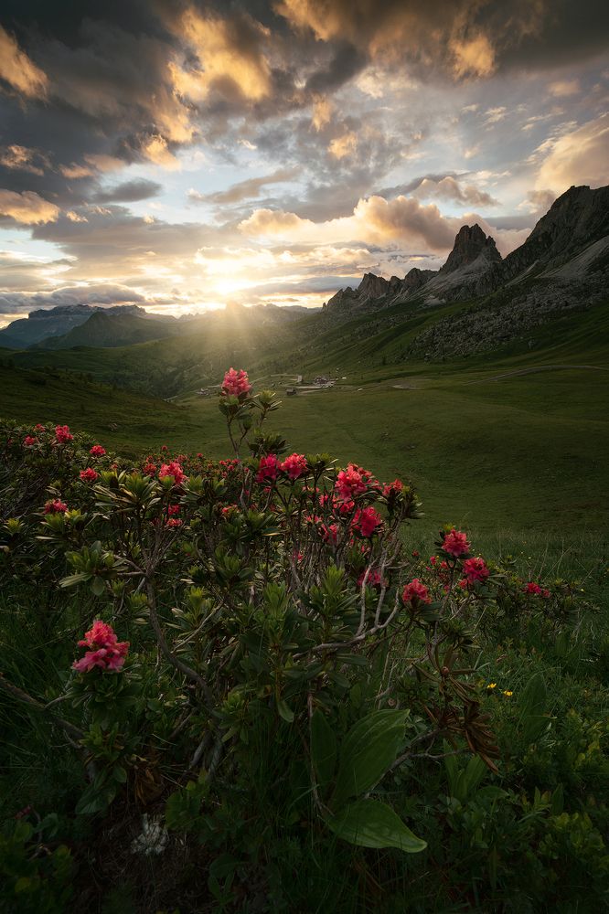 Photograph by Andrea Burla