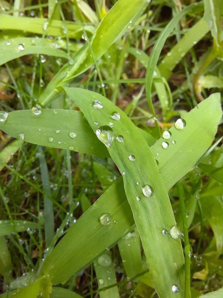 Photograph by Людмила