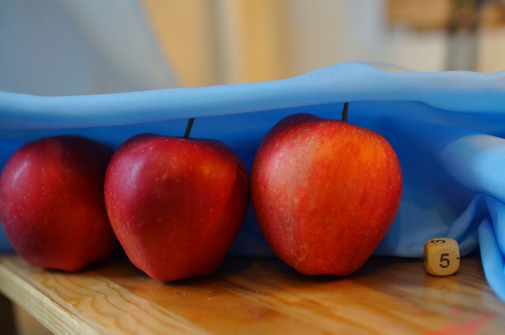 Photograph by Ксения Бочкова