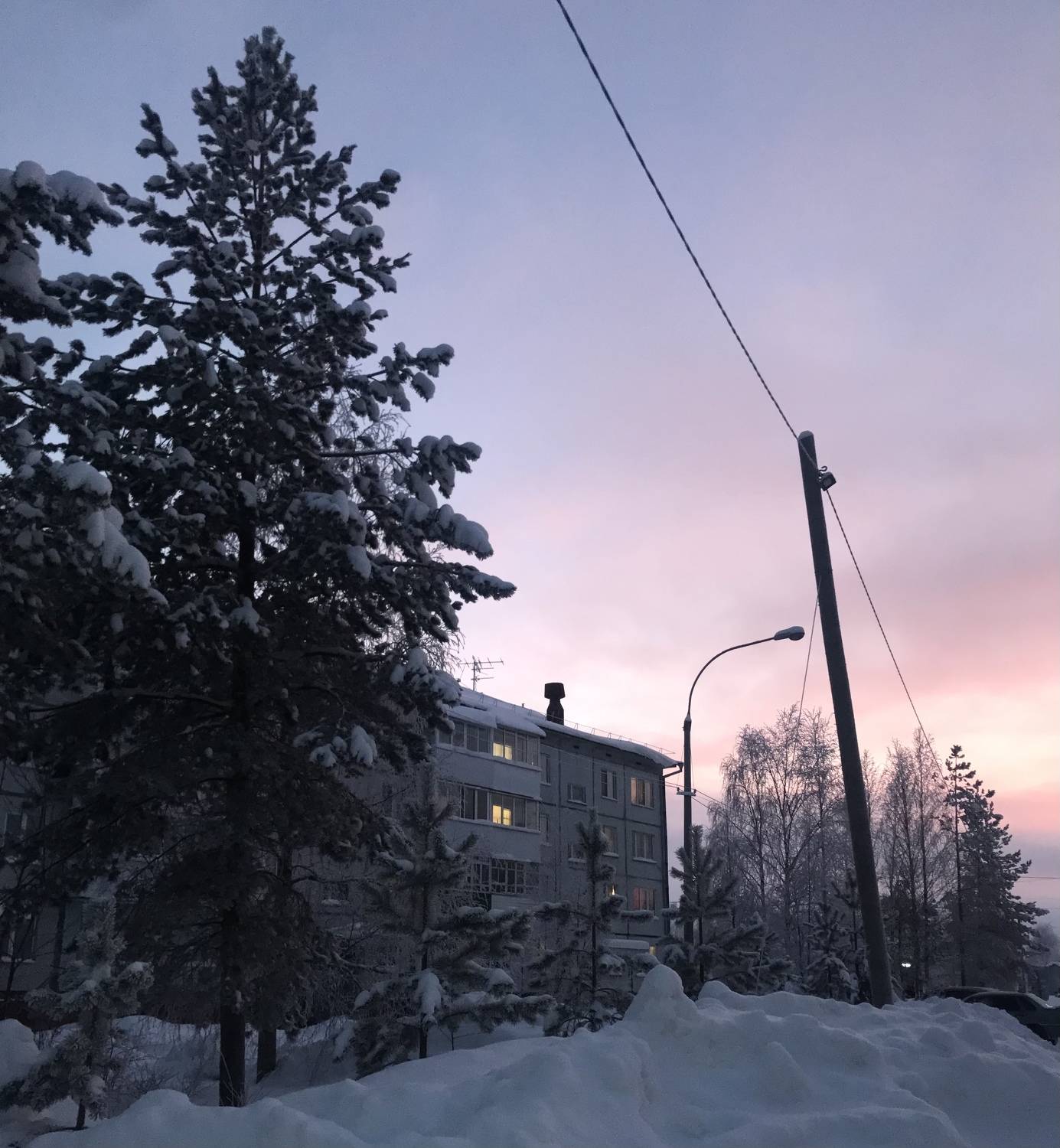 Photo #7111822
