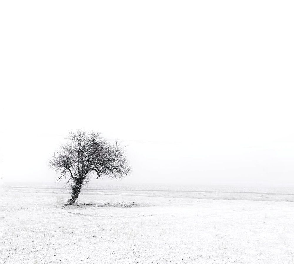 alone