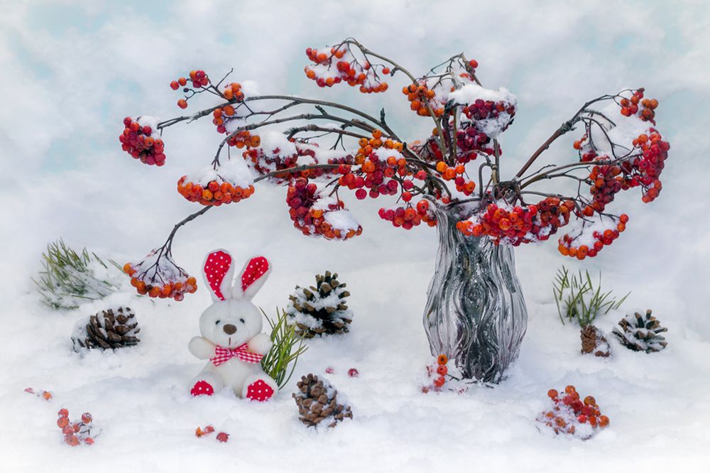 Photograph by Сарапулов Игорь