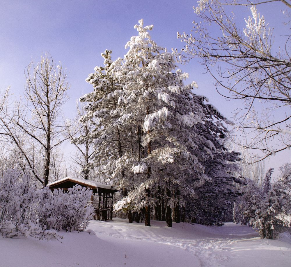 Фотография автора sose