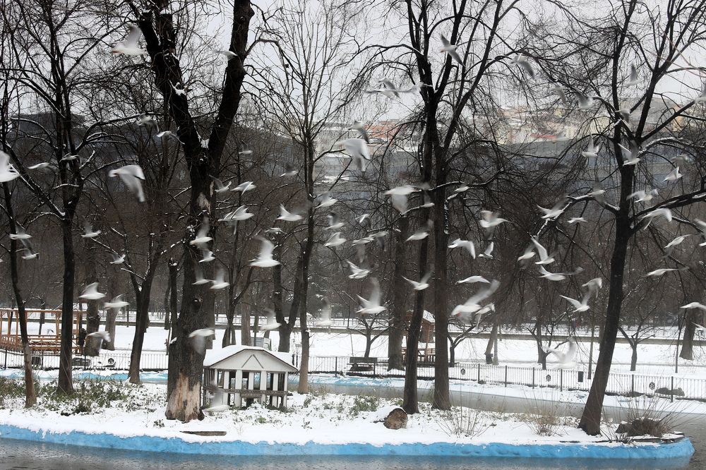 Photograph by marzieh Parvaneh