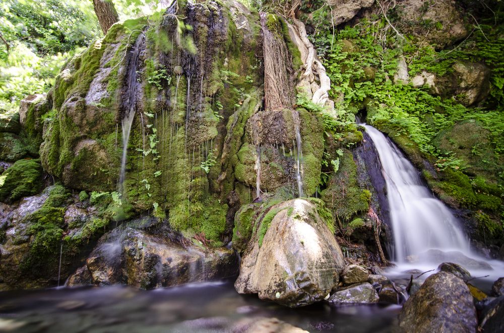 Photograph by Ozcan Simsek