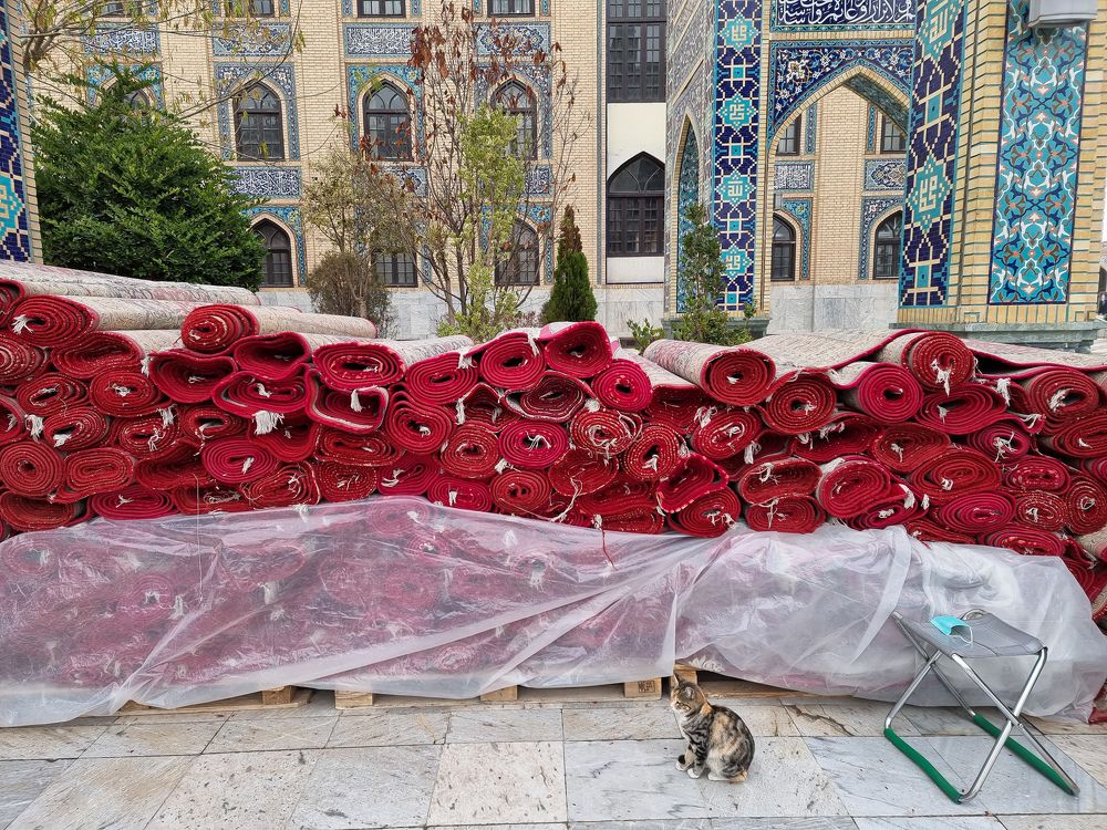 Living in the days of Corona