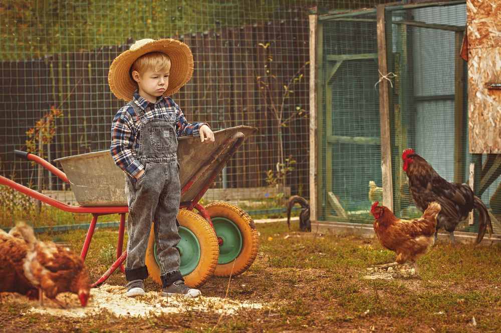 Фотография автора Регина Гущина