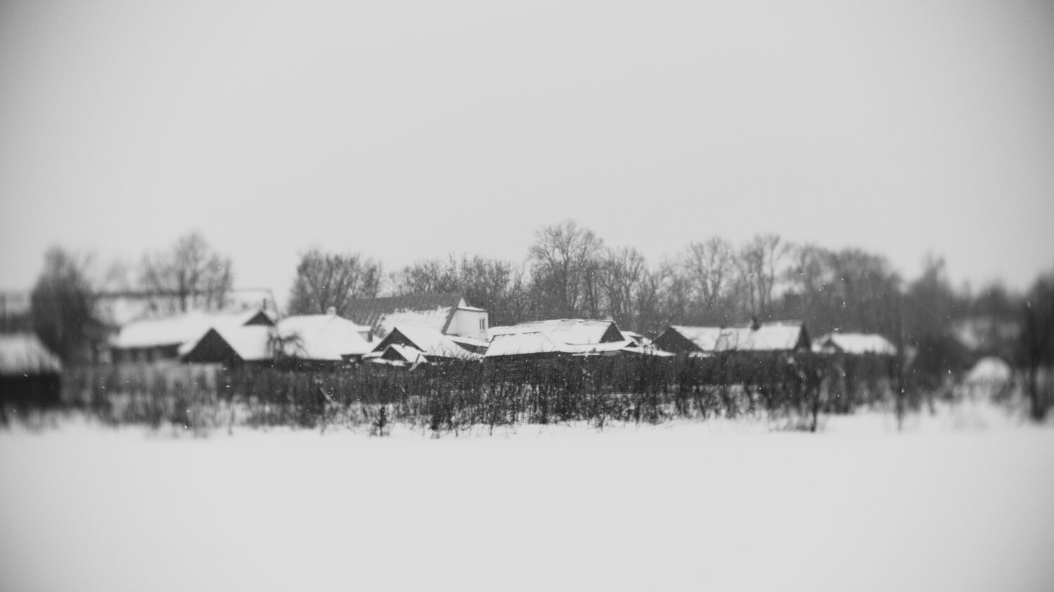 Photo #7112012