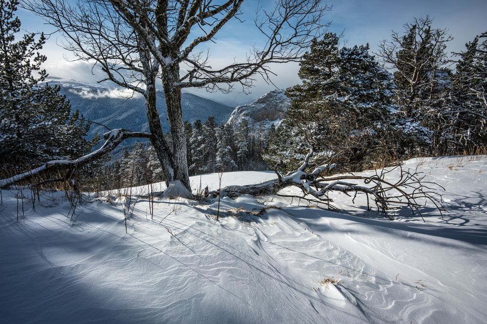 Photograph by Владимир Ганюшкин