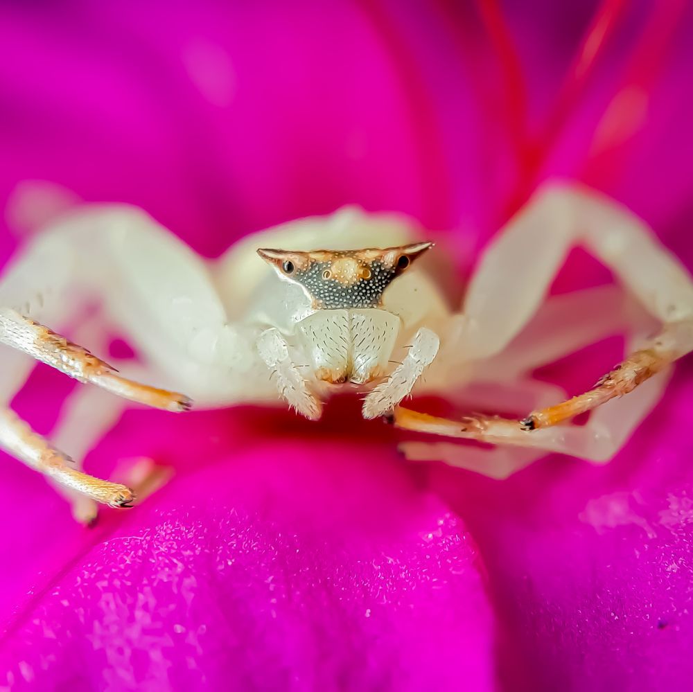 Photograph by Sandip Das