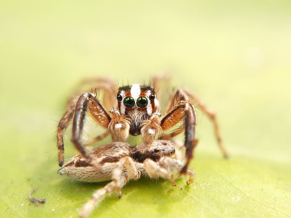 Photograph by Sandip Das