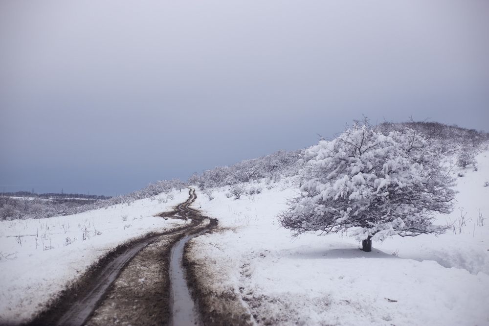 Photograph by Ерохина Светлана Юрьевна
