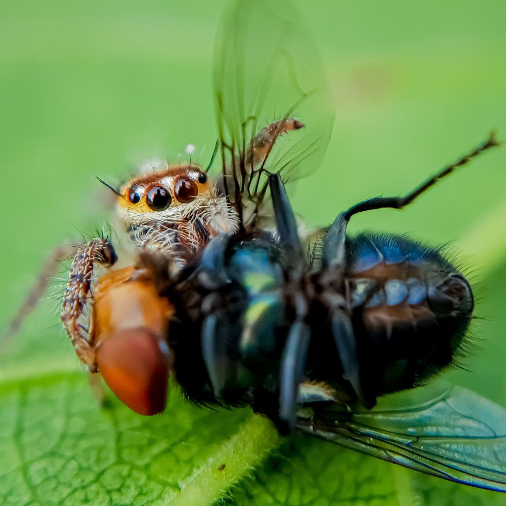Photograph by Sandip Das