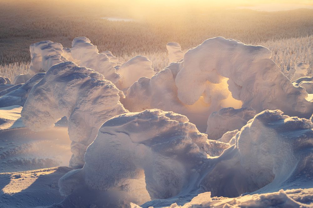 Photograph by Елена Лебедева