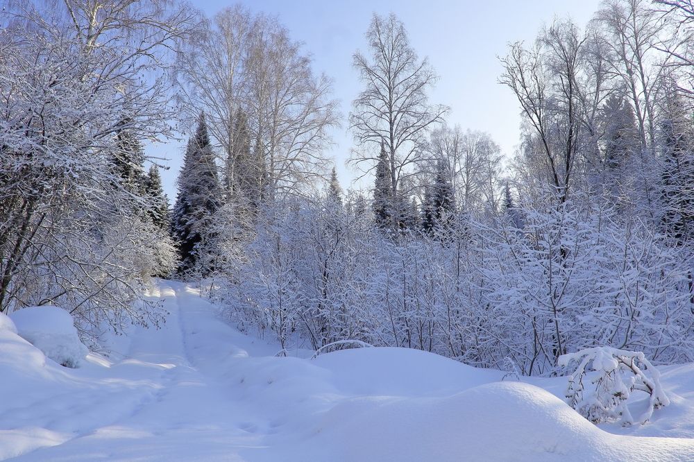 Photograph by Нина Титенкова