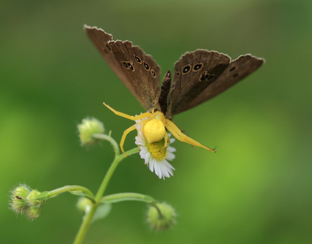 Photograph by Елена Красавина