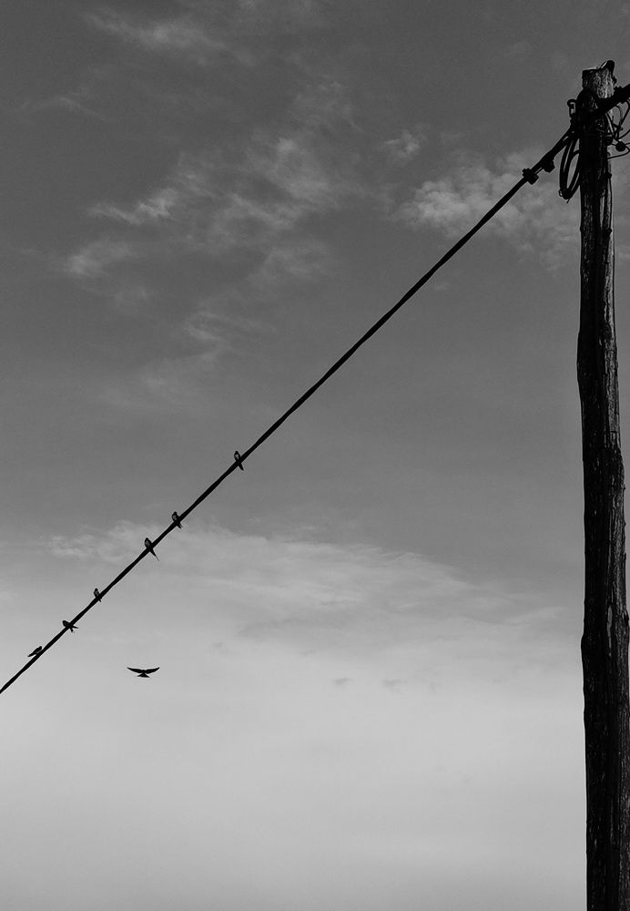 Photograph by domen slemensek