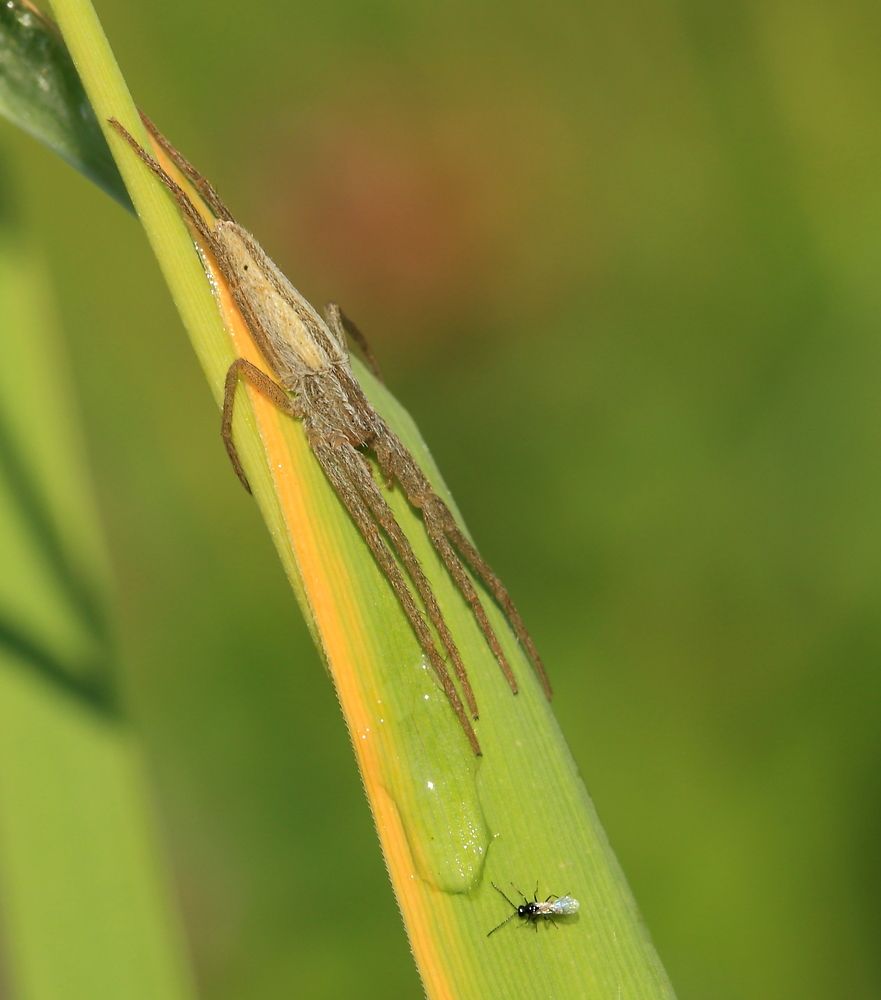 Photograph by Елена Красавина