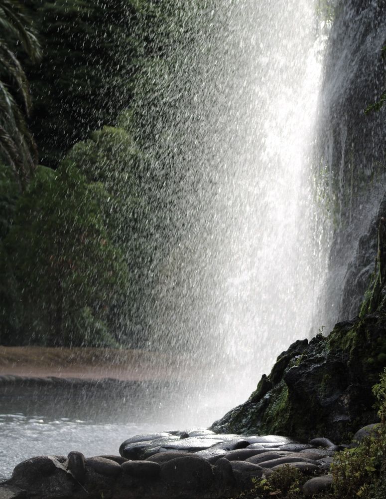 Photograph by Olga Pereira