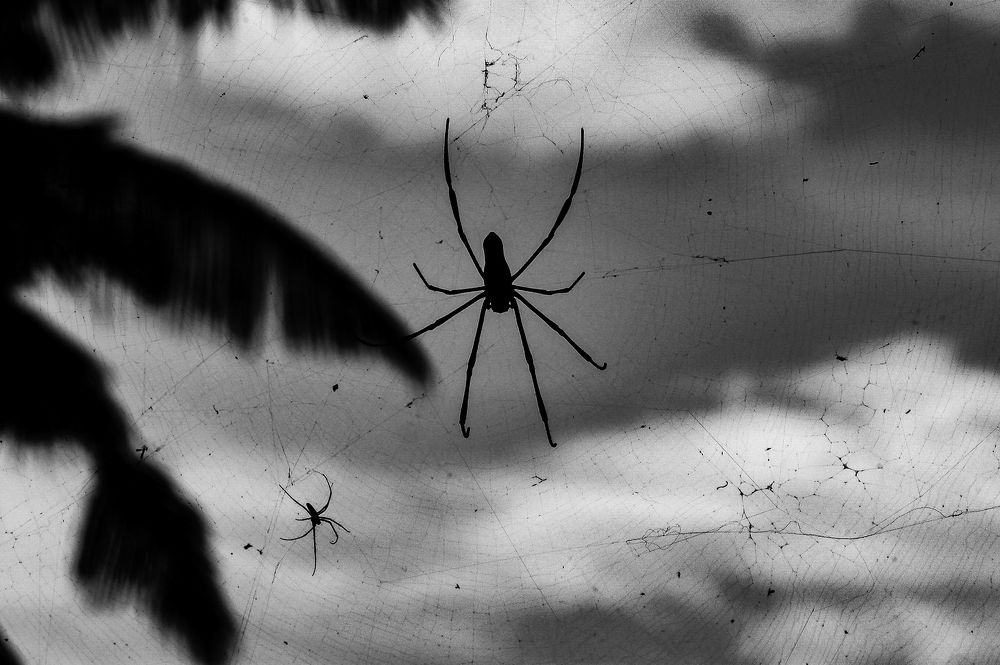 Photograph by shabu joseph