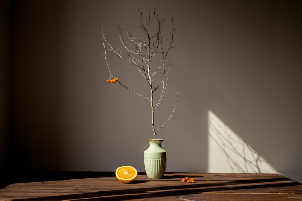 Фотография автора Ольга Хиневич