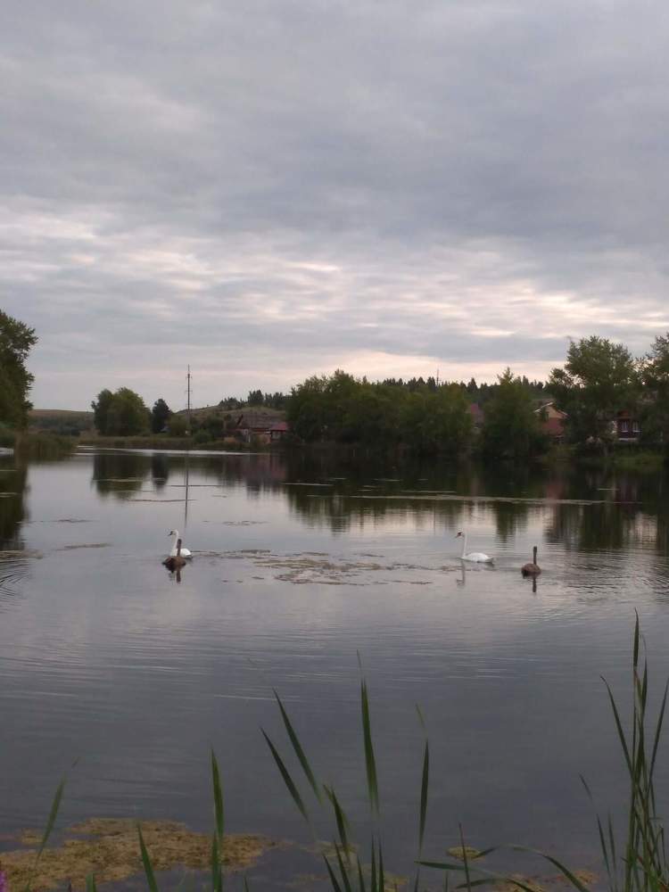 Photograph by Людмила