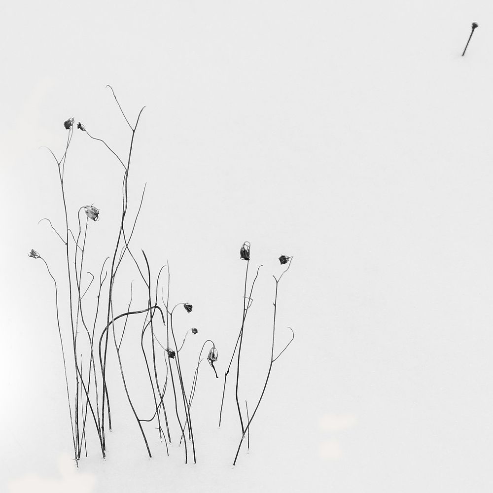 Photograph by Gabriella Szabo