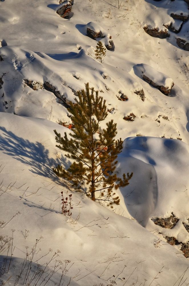Photograph by Максим Солдатенко