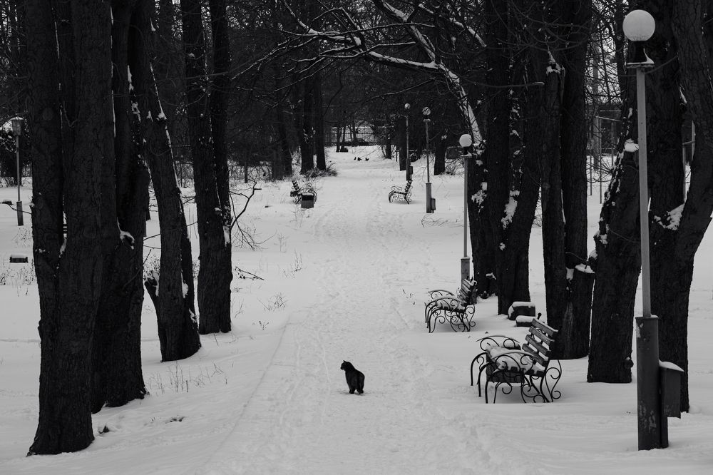 Photograph by Станислав Кунецкий