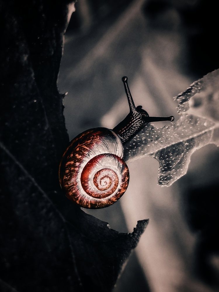 Photograph by Сергей Печников