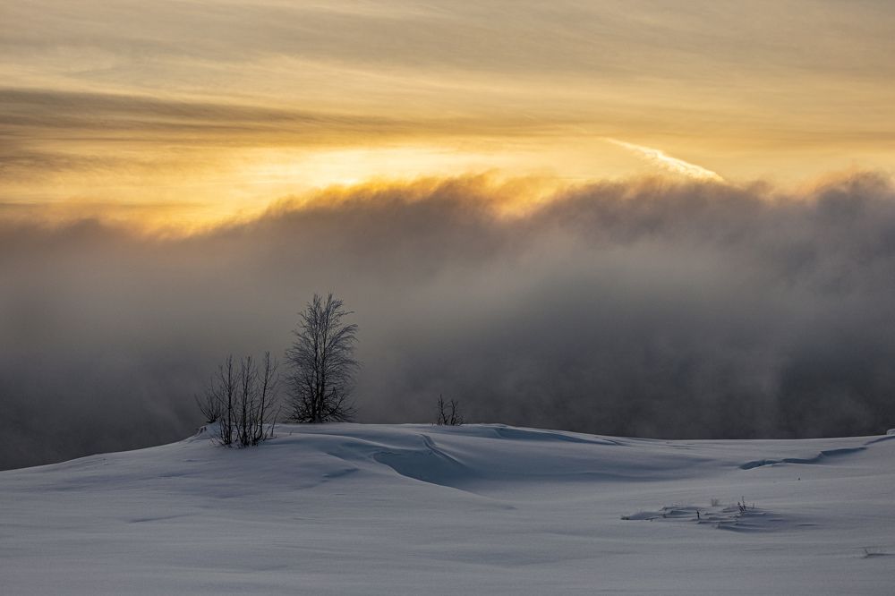 Photograph by  Толяныч-