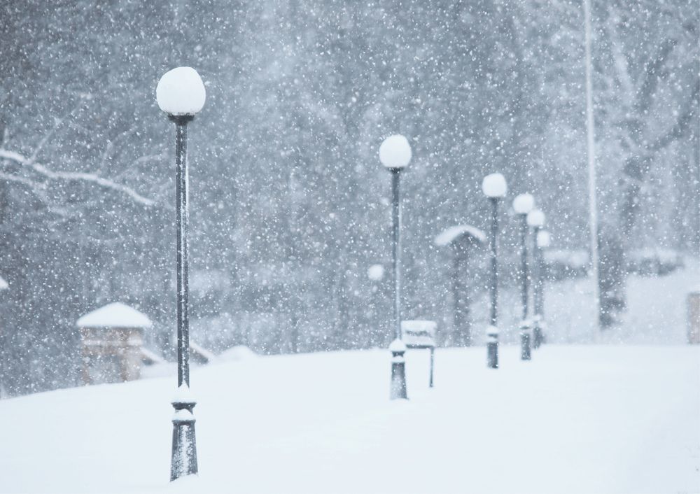 Lanterns in the snowfall.