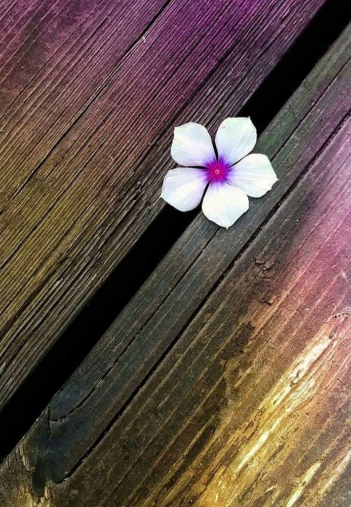 Photograph by Polina Svirida