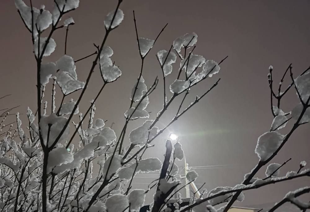 Photograph by Ирина Кузьмина