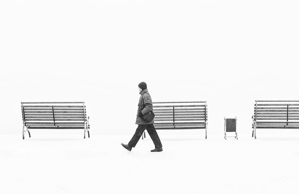 Фотография автора Лариса Кисурина